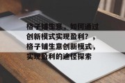 格子铺生意,如何通过创新模式实现盈利?,格子铺生意创新模式,实现盈利的途径探索 格子铺生意,如何通过创新模式实现盈利?,格子铺生意创新模式,实现盈利的途径探索