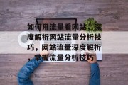 如何用流量看网站，深度解析网站流量分析技巧，网站流量深度解析，掌握流量分析技巧