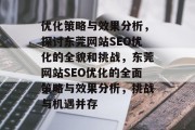 优化策略与效果分析，探讨东莞网站SEO优化的全貌和挑战，东莞网站SEO优化的全面策略与效果分析，挑战与机遇并存