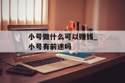 小号做什么可以赚钱_小号有前途吗