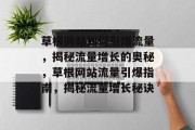 草根网站如何引爆流量，揭秘流量增长的奥秘，草根网站流量引爆指南，揭秘流量增长秘诀