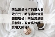 网站流量推广的五大有效方式，助你实现流量翻倍增长！网站流量翻倍秘籍，五大高效推广策略大揭秘！
