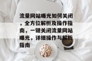 流量网站曝光如何关闭，全方位解析及操作指南，一键关闭流量网站曝光，详细操作与解析指南