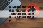 网站初期如何高效获取流量，全方位策略解析，网站初期流量获取攻略，全方位策略深度解析