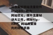 深度解析网站流量软件RiyiSEO，助力网站优化，提升流量秘诀大公开，揭秘RiyiSEO，网站流量提升的秘密武器