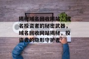 揭秘域名回收网站，域名投资者的秘密武器，域名回收网站揭秘，投资者的隐形守护者