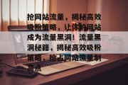 抢网站流量，揭秘高效吸粉策略，让你的网站成为流量黑洞！流量黑洞秘籍，揭秘高效吸粉策略，抢占网站流量制高点