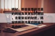 揭秘，那些需要刷流量的网站及其背后的原因，流量背后的秘密，揭秘依赖刷流量的网站及其动机