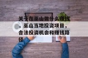 关于在巫山做什么赚钱,巫山当地投资项目,合法投资机会和赚钱路径 关于在巫山做什么赚钱,巫山当地投资项目,合法投资机会和赚钱路径