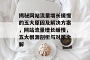 揭秘网站流量增长缓慢的五大原因及解决方案，网站流量增长缓慢，五大根源剖析与对策全解