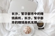 长沙，繁华都市中的赚钱商机，长沙，繁华都市的赚钱商机无限