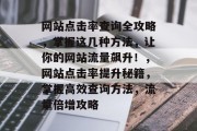 网站点击率查询全攻略，掌握这几种方法，让你的网站流量飙升！，网站点击率提升秘籍，掌握高效查询方法，流量倍增攻略