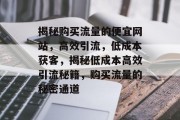 揭秘购买流量的便宜网站，高效引流，低成本获客，揭秘低成本高效引流秘籍，购买流量的秘密通道