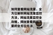如何查看网站流量，全方位解析网站流量监控方法，网站流量监控全攻略，揭秘查看网站流量的全方位方法