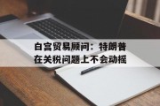 白宫贸易顾问：特朗普在关税问题上不会动摇