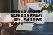 网站买流量，揭秘如何通过购买流量实现盈利，揭秘，网站流量购买盈利之道