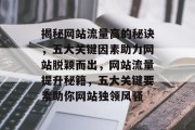 揭秘网站流量高的秘诀，五大关键因素助力网站脱颖而出，网站流量提升秘籍，五大关键要素助你网站独领风骚