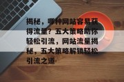 揭秘，哪种网站容易获得流量？五大策略助你轻松引流，网站流量揭秘，五大策略解锁轻松引流之道