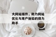 大网站插件，助力网站优化与用户体验的得力助手