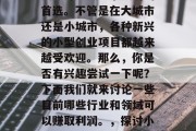 建议,在当今这个多元化的社会中,创业已经成为许多人追求成功的首选。不管是在大城市还是小城市,各种新兴的小型创业项目都越来越受欢迎。那么,你是否有兴趣尝试一下呢?下面我们就来讨论一些目前哪些行业和领域可以赚取利润。,探讨小型创业投资领域,未来潜力的热门行业与职业选择