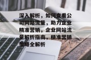 深入解析，如何查看公司网站流量，助力企业精准营销，企业网站流量解析指南，精准营销策略全解析