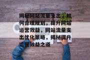 揭秘网站流量支出，如何合理规划，提升网站运营效益，网站流量支出优化策略，揭秘提升运营效益之道