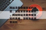 网站流量数据背后的秘密，深度背景调查解析，揭秘网站流量数据背后的真相，深度背景调查剖析