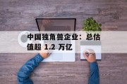 中国独角兽企业:总估值超 1.2 万亿 中国独角兽企业:总估值超 1.2 万亿