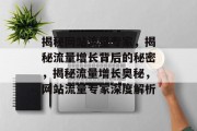 揭秘网站流量专家，揭秘流量增长背后的秘密，揭秘流量增长奥秘，网站流量专家深度解析