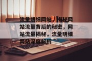 流量明细网站，揭秘网站流量背后的秘密，网站流量揭秘，流量明细网站深度解析