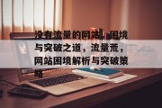 没有流量的网站，困境与突破之道，流量荒，网站困境解析与突破策略