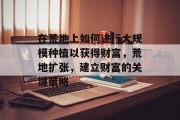 在荒地上如何进行大规模种植以获得财富,荒地扩张,建立财富的关键策略 在荒地上如何进行大规模种植以获得财富,荒地扩张,建立财富的关键策略