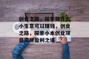 创业之路,探索做什么小生意可以赚钱,创业之路,探索小本创业项目实现盈利之道