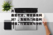 开发行业: 哪些项目最受欢迎,哪些最有利润?,发掘热门和盈利项目,行业趋势与分析 开发行业: 哪些项目最受欢迎,哪些最有利润?,发掘热门和盈利项目,行业趋势与分析