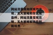 网站流量高如何有效变现，五大策略助你实现盈利，网站流量变现攻略，五大策略解锁盈利新境界