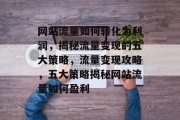 网站流量如何转化为利润，揭秘流量变现的五大策略，流量变现攻略，五大策略揭秘网站流量如何盈利