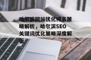 哈尔滨网站优化排名策略解析，哈尔滨SEO关键词优化策略深度解析