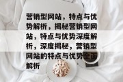 营销型网站，特点与优势解析，揭秘营销型网站，特点与优势深度解析，深度揭秘，营销型网站的特点与优势全面解析