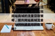 构建高效网站商城的流量获取策略，构建高效网站商城的流量获取策略，提升网站商城流量，如何构建高效获取策略？