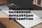 网站天流量统计，揭秘网站流量背后的秘密，揭秘网站流量背后的秘密，天流量统计大揭秘