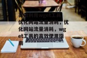 高效利用wget工具优化网站流量消耗，优化网站流量消耗，wget工具的高效使用指南