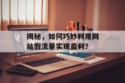 揭秘,如何巧妙利用网站假流量实现盈利? 揭秘,如何巧妙利用网站假流量实现盈利?