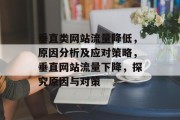 垂直类网站流量降低，原因分析及应对策略，垂直网站流量下降，探究原因与对策