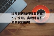沈阳销售如何赚取财富?,沈阳,实现财富积累的实战策略 沈阳销售如何赚取财富?,沈阳,实现财富积累的实战策略