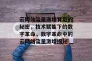 云网站流量激增背后的秘密，技术赋能下的数字革命，数字革命中的云网站流量激增揭秘