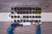 灰色流量网站的暗流涌动，揭秘网络世界的灰色地带，网络灰色地带，灰色流量网站的暗流涌动揭秘