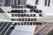 深度解析IIS网站流量监控软件，助力企业高效管理网站流量，揭秘IIS网站流量监控，企业高效流量管理利器