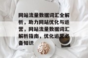 网站流量数据词汇全解析，助力网站优化与运营，网站流量数据词汇解析指南，优化运营必备知识