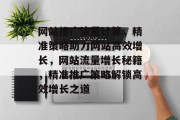 网站推广流量计算，精准策略助力网站高效增长，网站流量增长秘籍，精准推广策略解锁高效增长之道