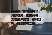 高端用户群浏览网站，洞察趋势，把握商机，高端用户洞察，解码趋势，捕捉商机之道